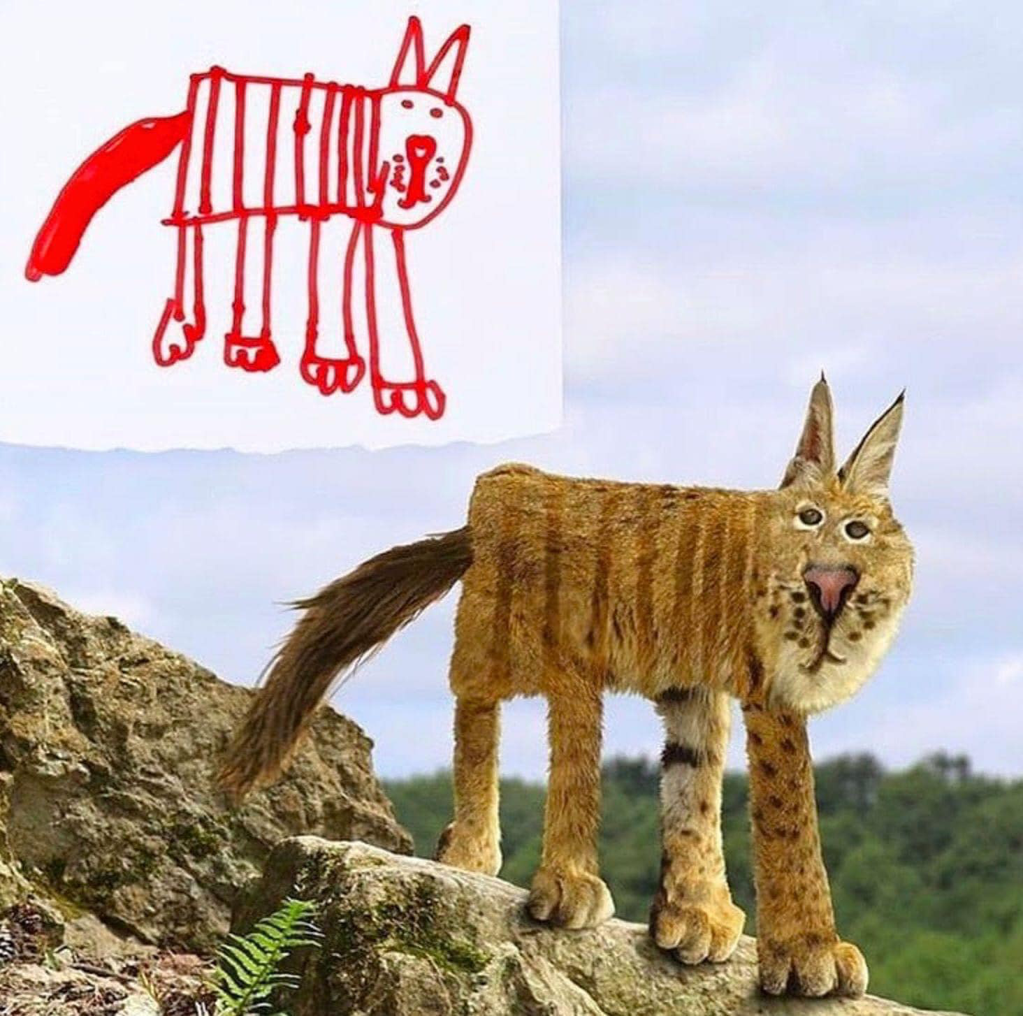 Nếu những bức tranh vẽ của học sinh biến thành động vật ngoài đời thực, chúng sẽ kỳ dị thế này đây - Ảnh 11. Nếu những bức tranh vẽ của học sinh biến thành động vật ngoài đời thực, chúng sẽ kỳ dị thế này đây - Ảnh 11.