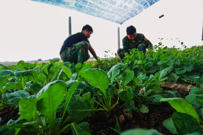 Trên mặt muỗi bay vo ve, dưới chân đỉa đói bu kín, xui xui thì nằm trên ổ kiến lửa... anh em vẫn bám trụ làm nhiệm vụ - Ảnh 24.