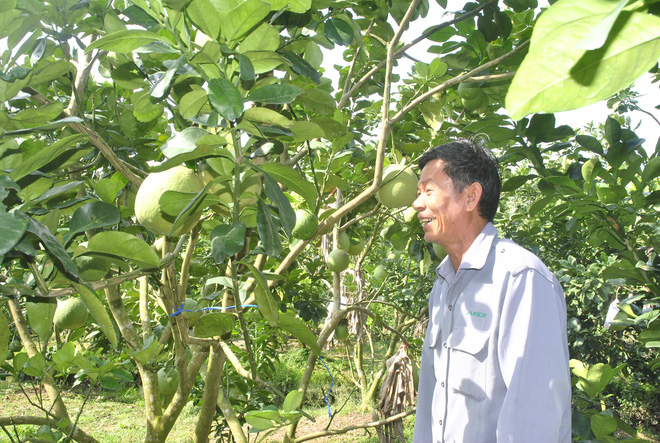 Tường trình vùng hạn mặn: Người khổ sở vì khô khát, người thản nhiên có sao đâu - Ảnh 2.