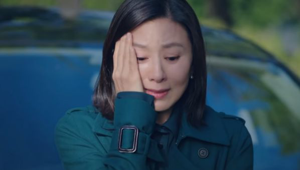 Trước khi mọc sừng ở phim 19+ Thế Giới Hôn Nhân, Kim Hee Ae từng mê trai trẻ phản bội chồng trong Secret Love Affair đây này! - Ảnh 6.