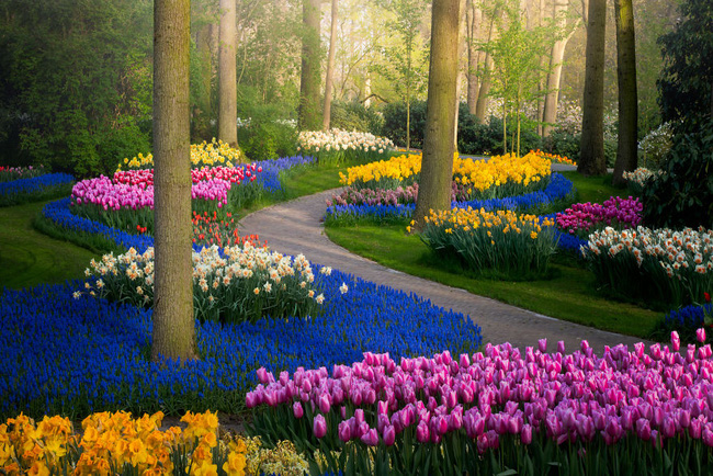 Vườn hoa đẹp nhất thế giới đóng cửa sau 71 năm, nhiếp ảnh gia tò ...