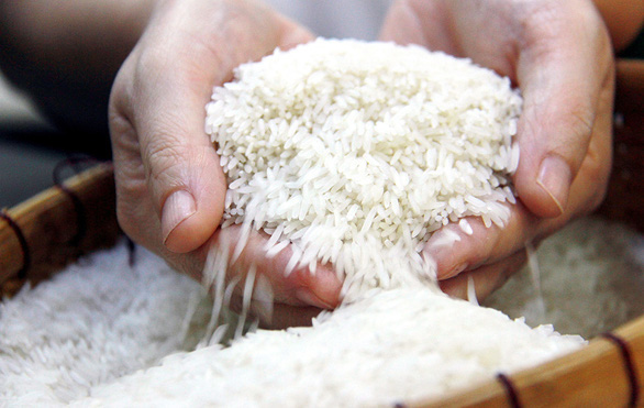 Phân biệt gạo nếp và gạo tẻ chúng được dùng để nấu món gì