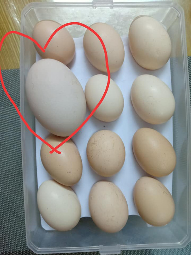 Cô gái ngạc nhiên khi lần đầu tiên chứng kiến quả trứng trong trứng có 1-0-2 - Ảnh 2.