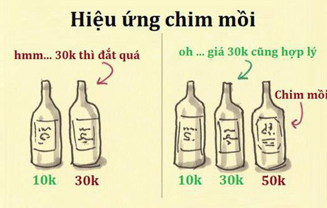  Ra mắt Bphone thế hệ 4, Bkav và CEO Nguyễn Tử Quảng đã khéo léo sử dụng “hiệu ứng chim mồi” thế nào?  - Ảnh 1.