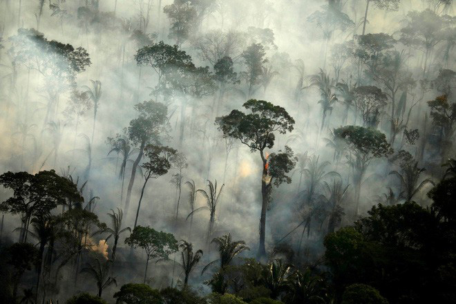 Rừng Amazon vẫn đang cháy ngày một mạnh hơn: 1.202 km2 rừng bị xóa sổ chỉ trong 4 tháng, ngang bằng diện tích một quốc gia - Ảnh 1.