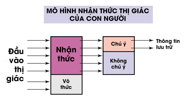 Tại sao trò chơi tìm điểm khác nhau giữa hai bức ảnh lại thường làm khó bạn? - Ảnh 2.