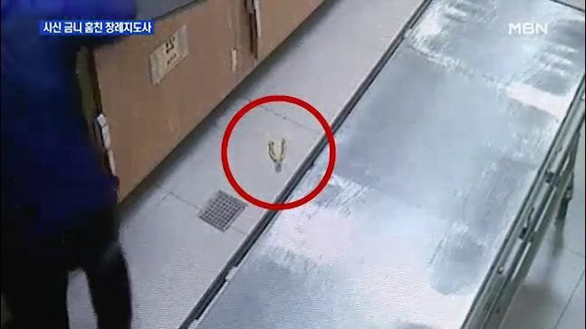 Nhân viên mai táng đột nhập nhà xác trộm 10 chiếc răng vàng từ thi thể người quá cố khiến dư luận Hàn Quốc phẫn nộ - Ảnh 2.
