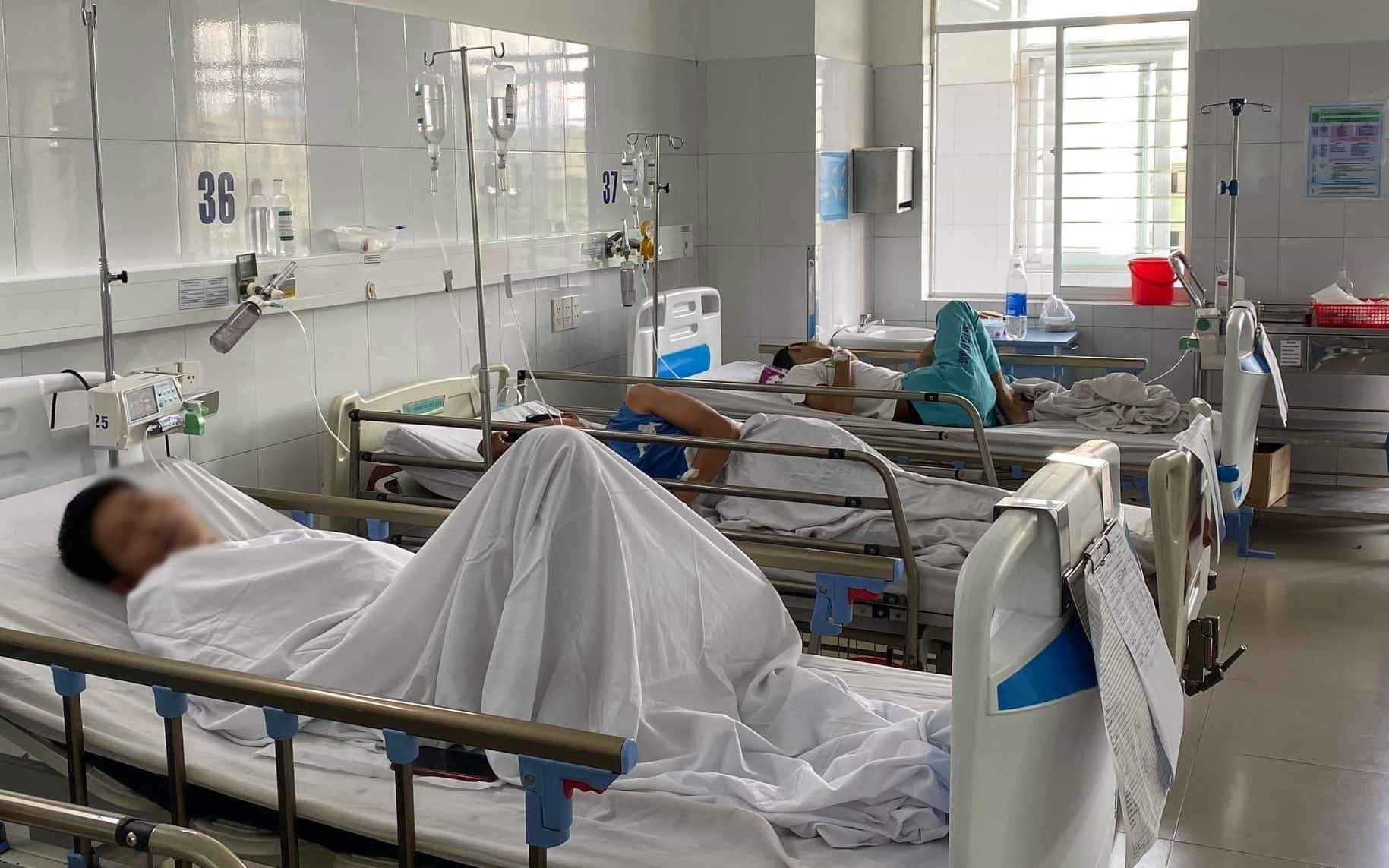 Lý giải nguyên nhân khiến 230 người bị ngộ độc thực phẩm sau khi ăn đồ chay mua từ chợ