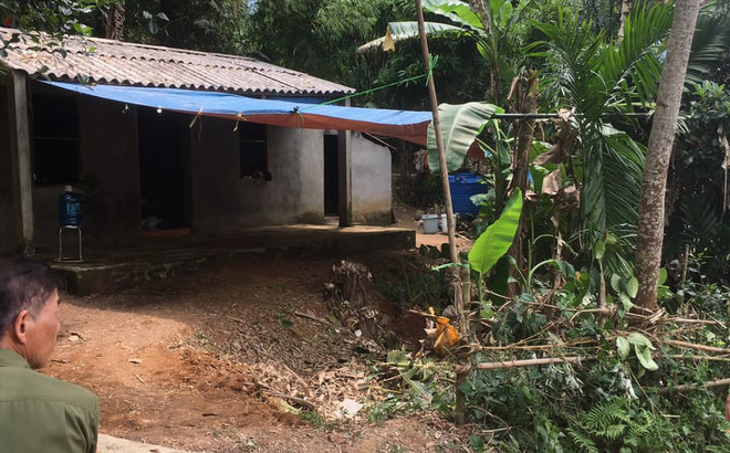 Cầm cuốc sang nhà anh trai đập cửa, bị anh lấy cây gỗ đánh tử vong - Ảnh 1.