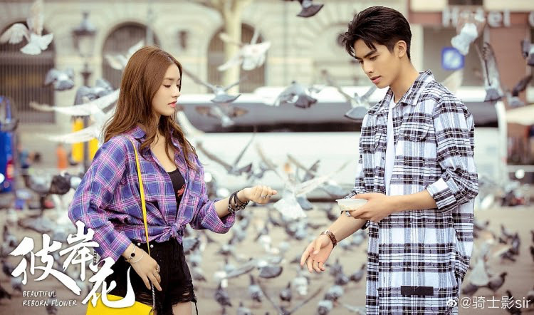 Mong đỏ mắt nhưng vừa l&ecirc;n s&oacute;ng Bỉ Ngạn Hoa đ&atilde; bị ch&ecirc; tả tơi, sai nhất l&agrave; tạo h&igrave;nh của H&agrave; Nhuận Đ&ocirc;ng - Ảnh 7.