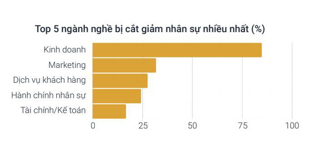 Thị trường tuyển dụng sôi động hậu Covid-19: Sales từng là lực lượng bị cắt giảm mạnh nhất thì bây giờ được “săn” nhiều nhất - Ảnh 2.