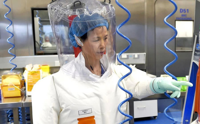  Báo Nhật: Nữ người dơi tại Viện Virus học Vũ Hán từng cảnh báo về Covid-19 từ 2015 - Ảnh 1.