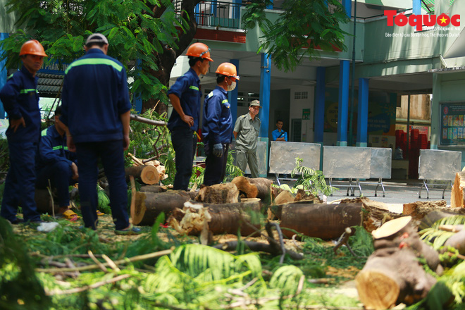 Bé trai tử nạn do cây đè: Mẹ về cho em bú. Mẹ sẽ chăm, thương em bằng cả tình thương của con nữa - Ảnh 4.