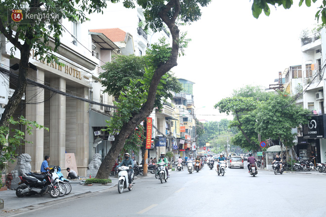 Ảnh: Cận cảnh hàng loạt cây xanh mục gốc, ngả hướng ra giữa đường ở Hà Nội - Ảnh 4.