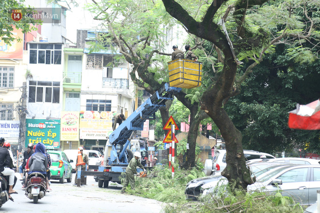 Ảnh: Cận cảnh hàng loạt cây xanh mục gốc, ngả hướng ra giữa đường ở Hà Nội - Ảnh 12.