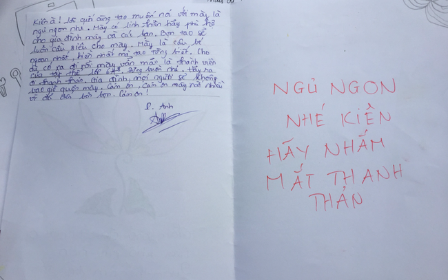 Quặn lòng những cánh thư bạn cùng lớp viết gửi nam sinh vừa ra đi vì cây phượng đổ: Tao có vẽ hộp cơm cho mày đấy - Ảnh 6.