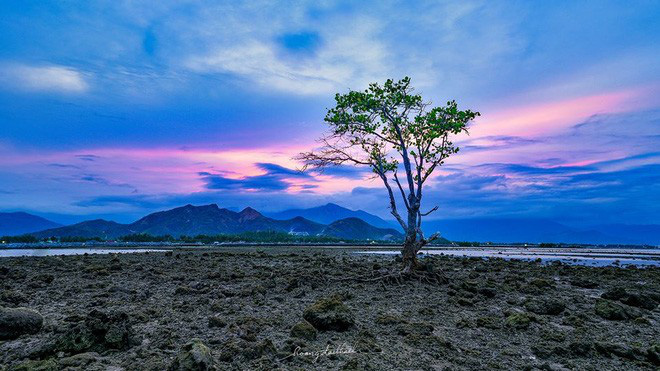 Bức ảnh &Ocirc;ng gi&agrave; v&agrave; biển cả phi&ecirc;n bản Việt lọt top 1 ảnh về c&acirc;u chuyện đại dương do National Geographic b&igrave;nh chọn v&agrave; chia sẻ đầu ti&ecirc;n của ch&iacute;nh t&aacute;c giả - Ảnh 7.