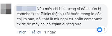 Rộ nghi vấn Jennie, Jisoo bị chấn thương đến nỗi đi tập tễnh, phải chống nạng, thế này ngày BLACKPINK comeback hẳn còn xa lắm? - Ảnh 8.