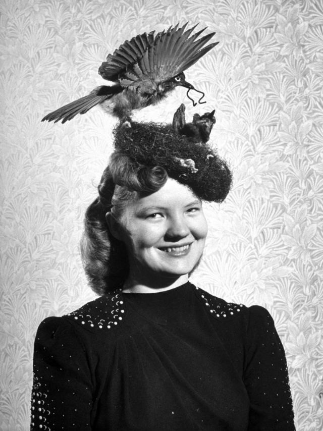 Những bức ảnh đen trắng kỳ lạ cho thấy phụ nữ thời xưa có thể đội bất cứ thứ gì lên đầu để làm đẹp, tổ chim cũng thành cực phẩm - Ảnh 19.