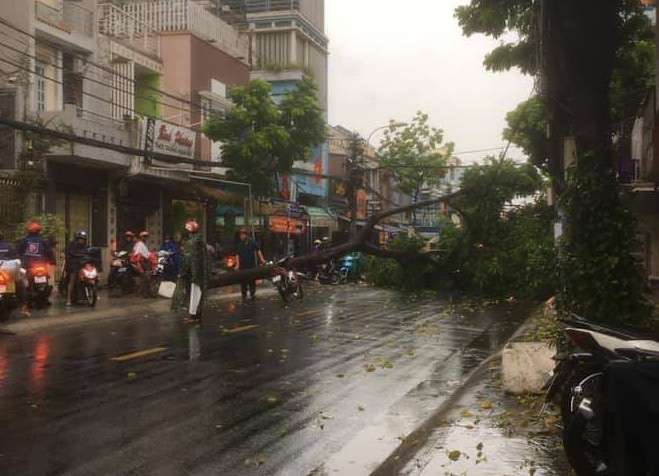 Cây đổ, đường phố Sài Gòn mênh mông nước sau trận mưa cực lớn - Ảnh 9.