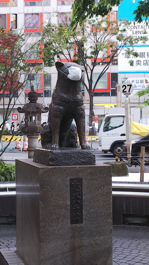 Chính quyền thành phố Tokyo yêu cầu người dân không đeo khẩu trang cho tượng chó Hachiko - Ảnh 2.