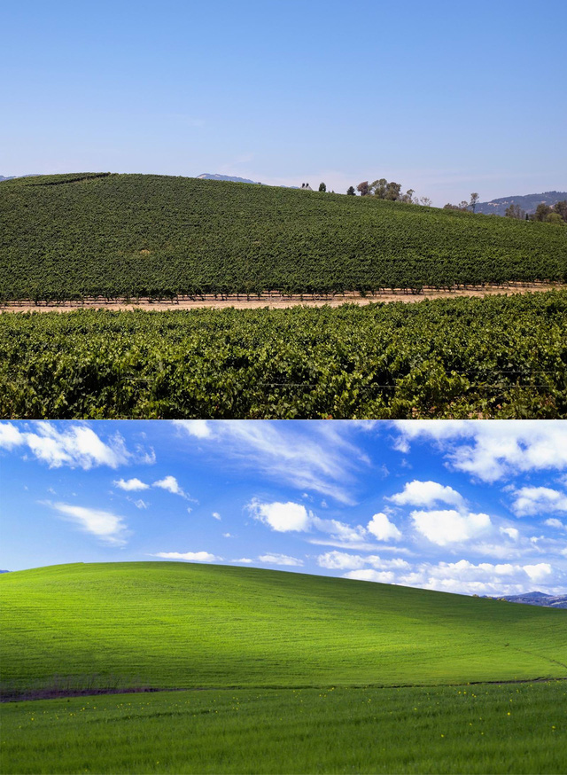 Bring retro charm to your desktop with nostalgic Windows XP wallpapers. These classic images offer a trip down memory lane to an era when computers were just starting to become a common household item. Choose from various designs and add a touch of vintage style to your screen.