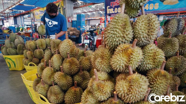 60 gi&acirc;y, 80.000 quả, nặng 200 tấn b&aacute;n hết veo: Cơn nghiện sầu ri&ecirc;ng của người Trung Quốc gi&uacute;p n&ocirc;ng d&acirc;n Th&aacute;i Lan đổi đời, trả hết nợ, tậu xe hơi - Ảnh 1.