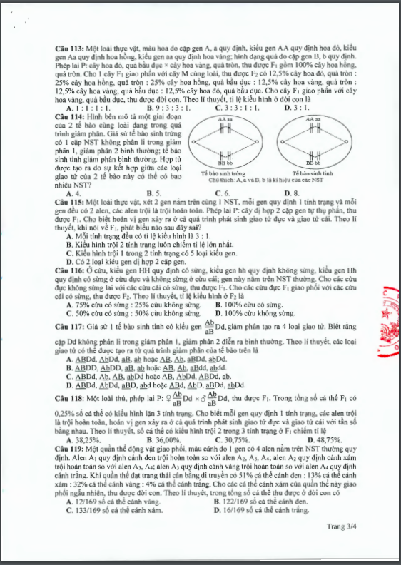 Đề thi tham khảo kỳ thi tốt nghiệp THPT năm 2020 môn Sinh học - Ảnh 3.