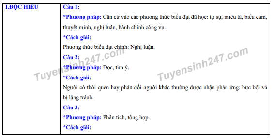 Đề thi tham khảo kỳ thi tốt nghiệp THPT Quốc gia 2020 môn Ngữ Văn - Ảnh 2.