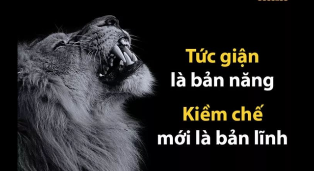 Người ưu tú rèn luyện tính cách ôn hòa như nước: Vượt qua 3 điều này bạn có thể tạo nên đẳng cấp khác biệt mà kẻ thất bại chẳng bao giờ có thể tìm thấy - Ảnh 2. Người ưu tú rèn luyện tính cách ôn hòa như nước: Vượt qua 3 điều này bạn có thể tạo nên đẳng cấp khác biệt mà kẻ thất bại chẳng bao giờ có thể tìm thấy - Ảnh 2.