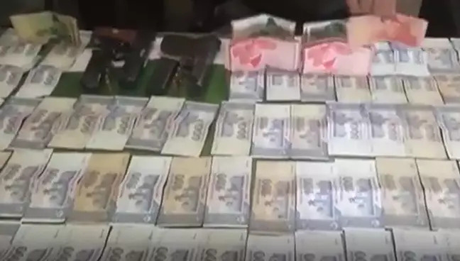 Pakistan: một chú lừa bị tống giam vì tội danh cờ bạc bất hợp pháp - Ảnh 2.
