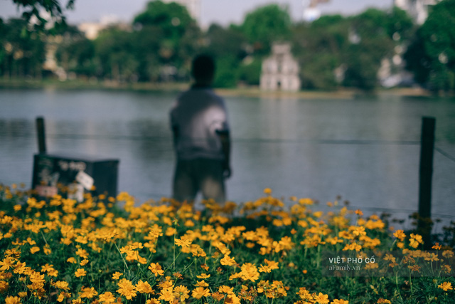 Bất chấp cái nóng như thiêu lò, Hồ Gươm một sáng mùa hè vẫn đẹp đến nao lòng  - Ảnh 12.