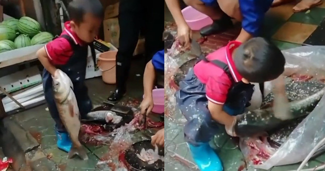 Hình ảnh cậu bé 7 tuổi ngồi giữa chợ sơ chế cá với tay nghề lão luyện gây tranh cãi dữ dội - Ảnh 1.