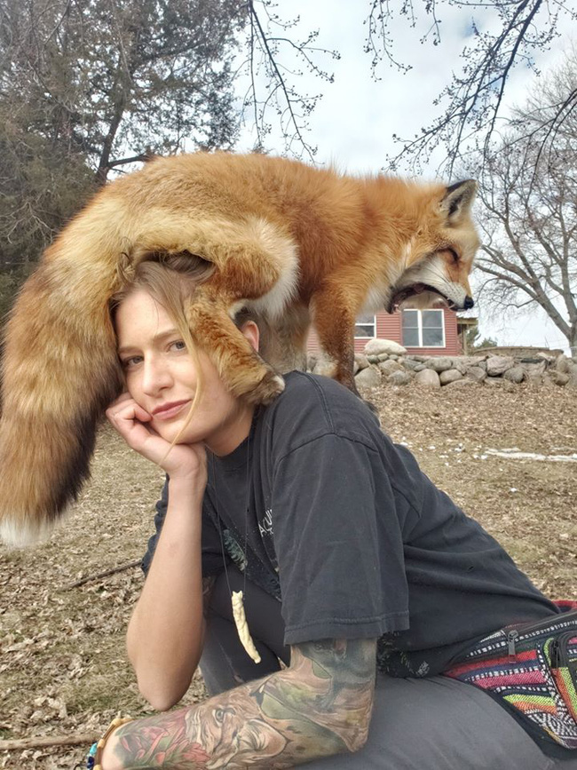 Những ch&uacute; c&aacute;o được giải cứu từ trang trại l&ocirc;ng th&uacute; l&agrave;m tan chảy tr&aacute;i tim người xem khi cười toe to&eacute;t, vẫy đu&ocirc;i mừng v&agrave; vui đ&ugrave;a như th&uacute; cưng - Ảnh 7.