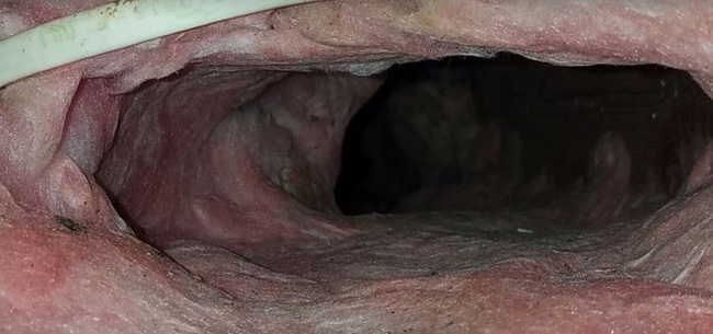 Nghe tiếng ồn trên tầng gác mái suốt 4 năm liền nhưng đinh ninh là chuột chạy, cặp vợ chồng tái xanh mặt khi phát hiện sự thật - Ảnh 4.