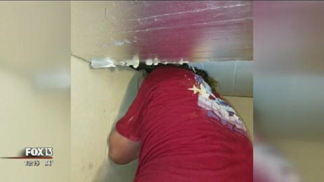Nghe tiếng ồn trên tầng gác mái suốt 4 năm liền nhưng đinh ninh là chuột chạy, cặp vợ chồng tái xanh mặt khi phát hiện sự thật - Ảnh 6.