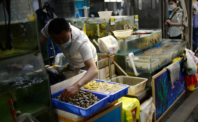 TQ tìm thấy dấu vết COVID-19 nằm la liệt ở các quầy thịt và hải sản tại chợ Bắc Kinh - Ảnh 1.