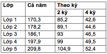 Học phí tại các trường quốc tế ở TP.HCM khủng tới cỡ nào? - Ảnh 3.