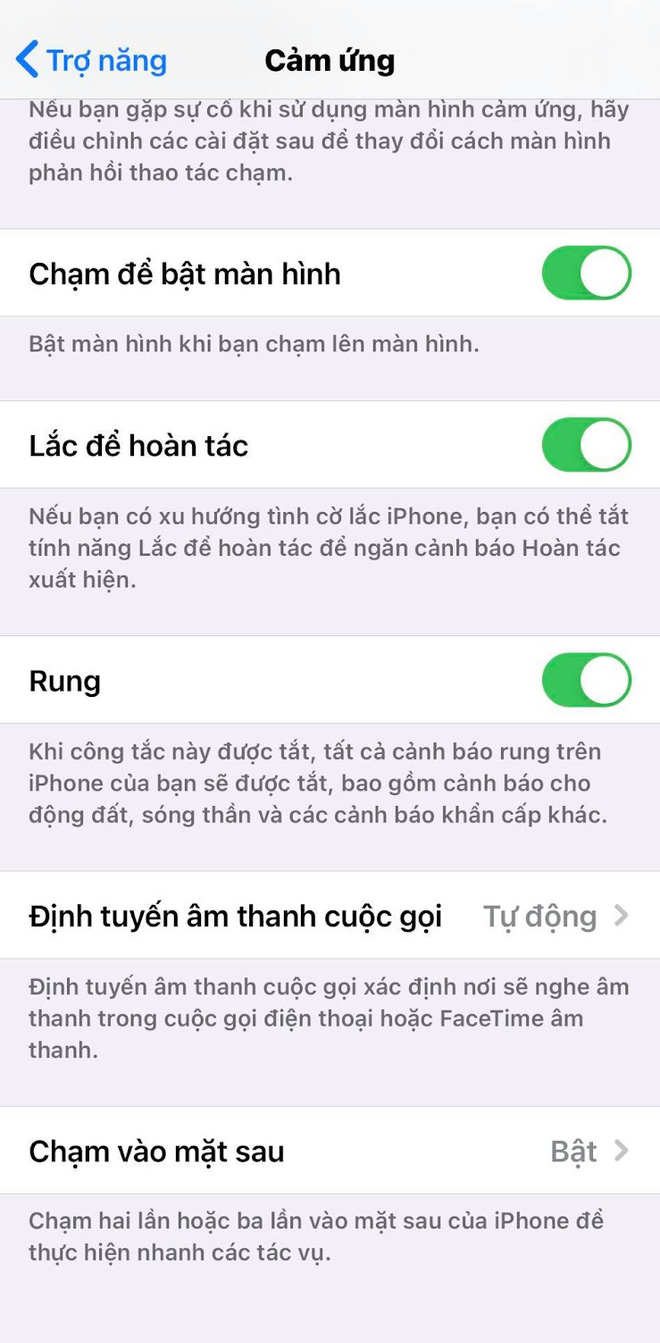 Cách bật tính năng gõ mặt lưng trên iPhone sau khi update iOS 14, rất hay ho, thú vị! - Ảnh 4.