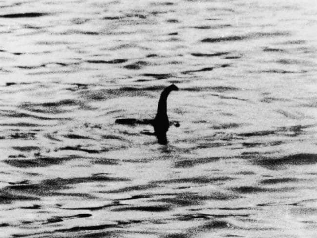 Xem ảnh chụp trong chuyến đi năm ngoái, người đàn ông phát hiện sinh vật lạ nên đăng đàn hỏi, MXH dậy sóng tin rằng đó là quái vật hồ Loch Ness - Ảnh 2.