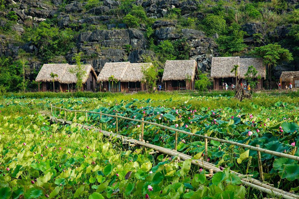 Đầm sen Ninh Bình nở rộ đẹp rực rỡ, hội chị em nhanh nhanh chuẩn bị váy áo xúng xính để chụp ảnh thôi nào - Ảnh 1. Đầm sen Ninh Bình nở rộ đẹp rực rỡ, hội chị em nhanh nhanh chuẩn bị váy áo xúng xính để chụp ảnh thôi nào - Ảnh 1.