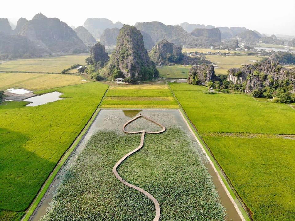 Đầm sen Ninh Bình nở rộ đẹp rực rỡ, hội chị em nhanh nhanh chuẩn bị váy áo xúng xính để chụp ảnh thôi nào - Ảnh 2. Đầm sen Ninh Bình nở rộ đẹp rực rỡ, hội chị em nhanh nhanh chuẩn bị váy áo xúng xính để chụp ảnh thôi nào - Ảnh 2.