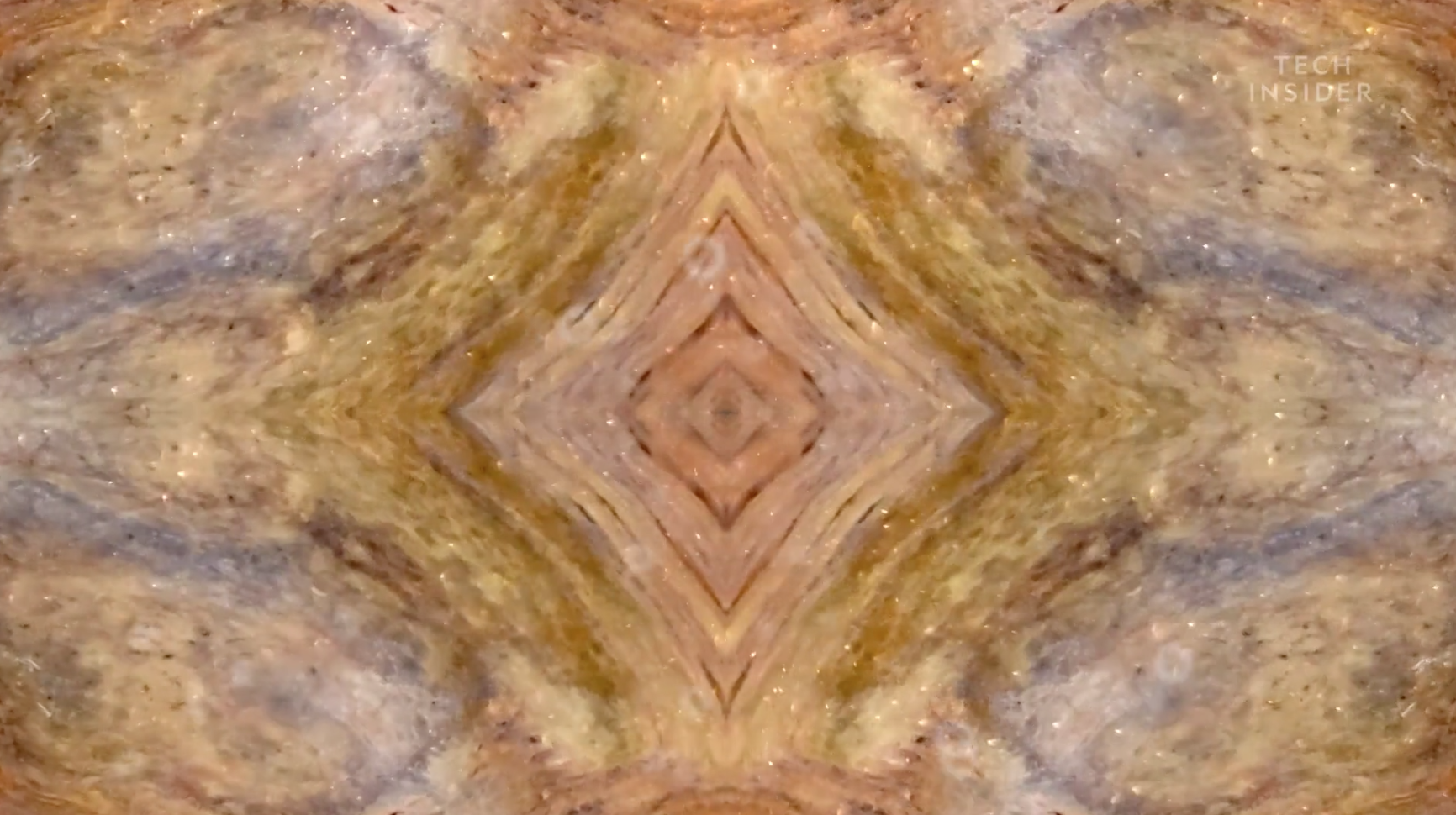 Đ&acirc;y l&agrave; những g&igrave; c&oacute; b&ecirc;n trong chiếc mai của một con r&ugrave;a, v&agrave; đảm bảo ch&uacute;ng sẽ khiến bạn h&aacute; mồm kinh ngạc - Ảnh 5.