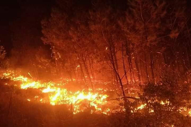 Cháy rừng diện rộng, người dân 3 huyện ở Nghệ An trắng đêm dập lửa - Ảnh 3.