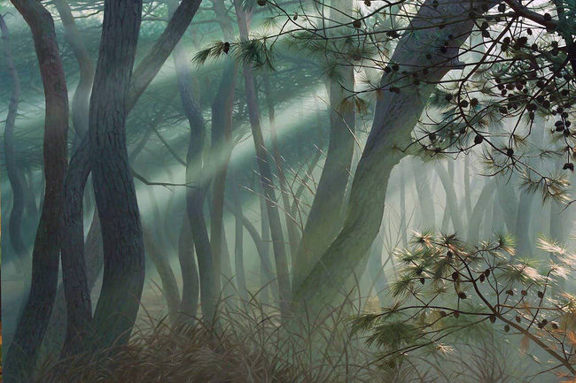 Hình ảnh cánh rừng xanh ngát xanh đem lại cảm giác yên bình khó tả nhưng ẩn chứa đằng sau đó là sự thật khó tin - Ảnh 9.