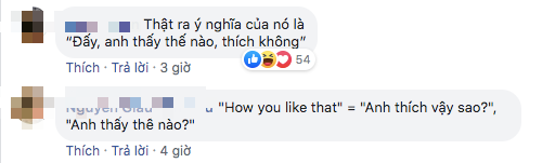 BLACKPINK đang yên lành gây bão toàn cầu thì bỗng dưng MisThy hỏi “How You Like That” nghĩa là gì, làm netizen lại “loạn xị ngậu” hết cả lên! - Ảnh 6.