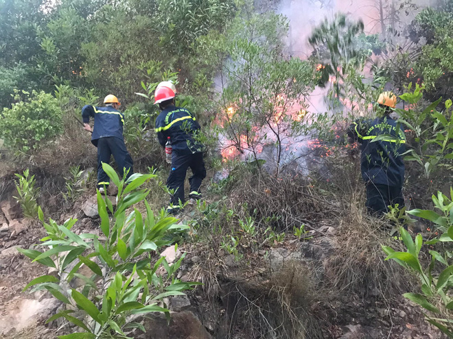 Dập tắt vụ cháy rừng thông kéo dài 2 ngày, lan qua nhiều xã ở Nghệ An - Ảnh 3.