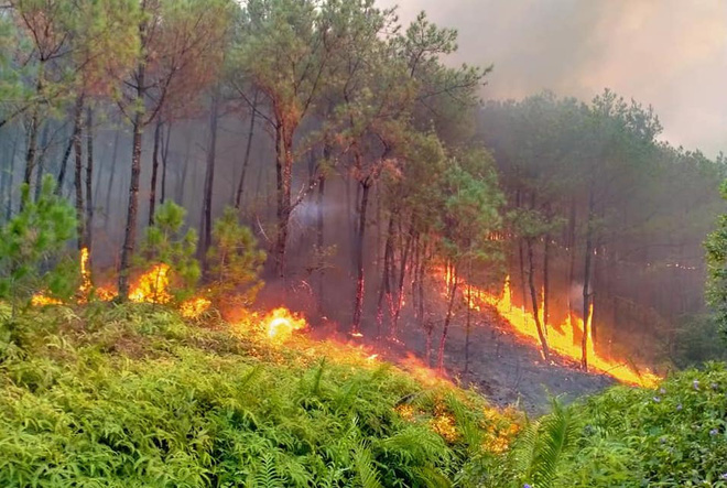 Dập tắt vụ cháy rừng thông kéo dài 2 ngày, lan qua nhiều xã ở Nghệ An - Ảnh 8.