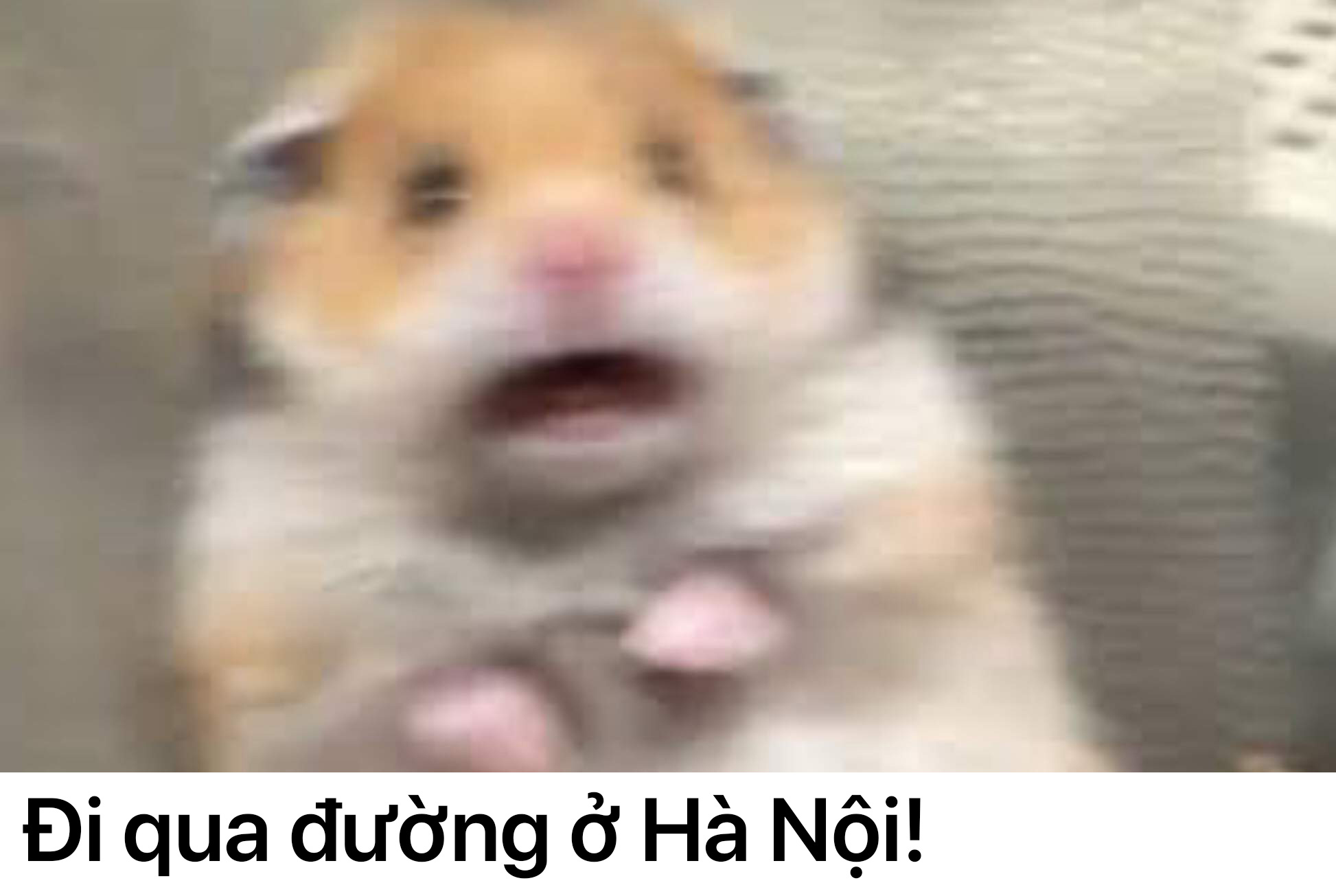 Cư d&acirc;n mạng chia sẻ về những c&uacute; shock văn h&oacute;a cực th&uacute; vị khi đi du lịch tới c&aacute;c nước tr&ecirc;n thế giới - Ảnh 3.