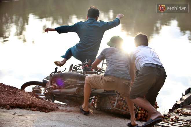 Vải thiều Bắc Giang vào vụ, dân gồng mình chở hàng tạ vải chòng chành qua chiếc cầu phao “tử thần”: “Ngã lộn xuống sông là chuyện bình thường” - Ảnh 11.